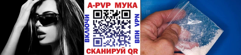 blacksprut зеркало Кириллов A PVP СК сколько стоит