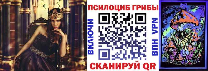 Псилоцибиновые грибы ЛСД  где купить наркотик  Кириллов 